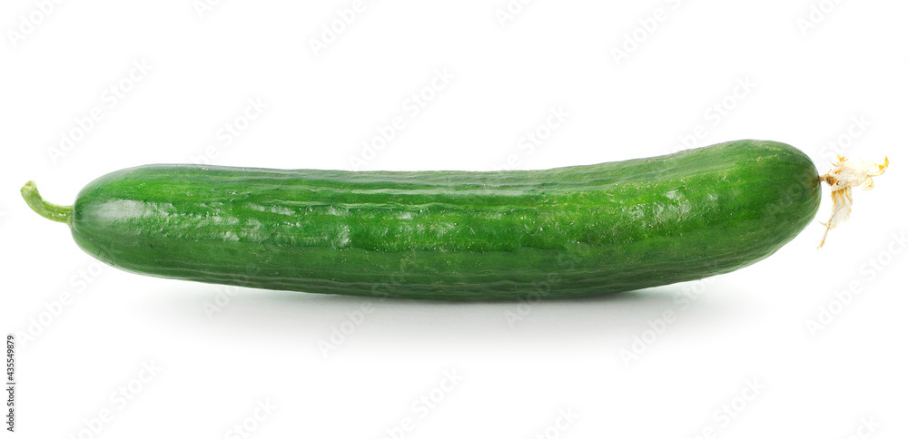 single long raw cucumber isolated on white background single long raw cucumber isolated on white background