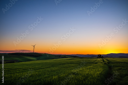 sunrise over grain fields