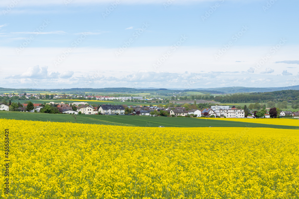 Rapsfeld in der nähe von Grüningen mit Leihgestern im Hintergrund, Hessen, Deutschland