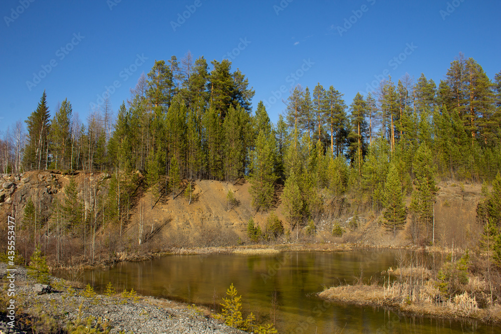 Obraz premium The beauty of a huge career in the Urals. Pine trees grow on quarries of a rocky quarry, mine workings, water at the bottom. Reddish rocks