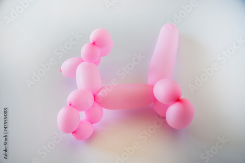 Dog figure made of pink balloons. Selective Focus. isolated.