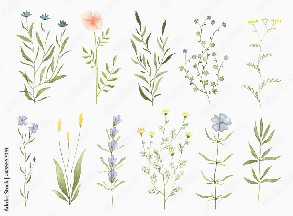 Set of watercolor widflowers. Hand drawn summer botanical design elements for wedding invitation, greeting card, postcard, stickers and other.
