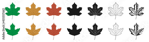 Vector illustration of green, yellow and red sycamore leaves in different styles, isolated on a white background. Maple leaf clip art. photo