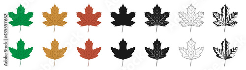 Vector illustration of green, yellow and red sycamore leaves in different styles, isolated on a white background. Maple leaf clip art.