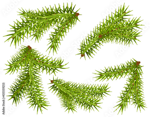 Set green fir pine branch symbol new year and christmas