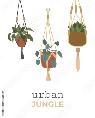 Flowers in hanging pots, beautiful exotic interior decoration, hand drawn macrame hangers. Urban jungle for indoor posters or prints. Vector illustration in boho style isolated on white background