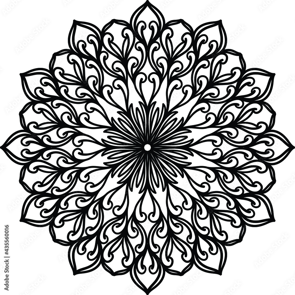 black and white flower black and white flower