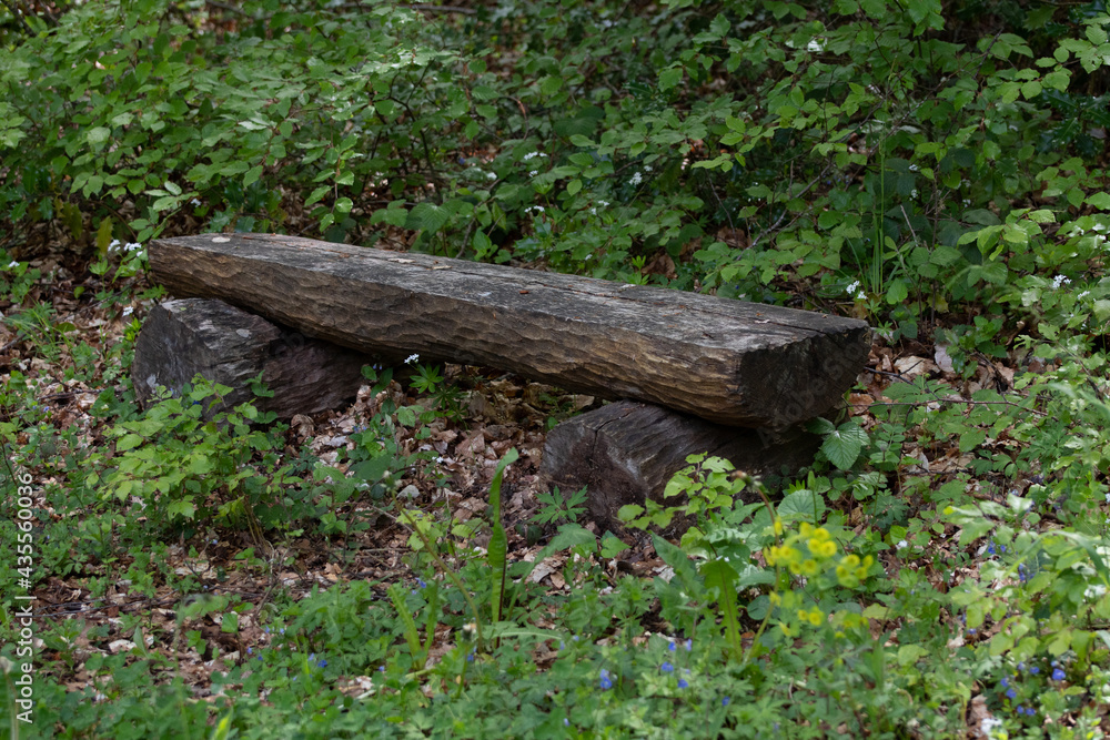 Banc en forêt