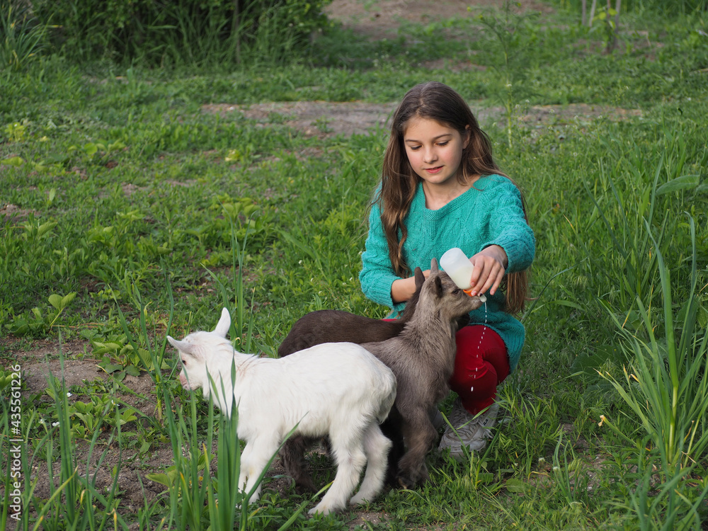The girl with the goats. A teenage girl with a bottle of milk in her hand, surrounded by little goats. Healthy lifestyle and agrotourism The girl with the goats. A teenage girl with a bottle of milk in her hand, surrounded by little goats. Healthy lifestyle and agrotourism