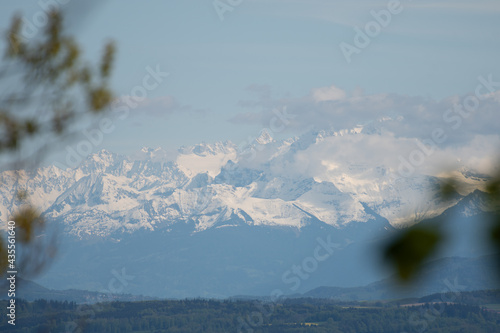 Vue des Alpes depuis la forêt 1 © Lorenzo
