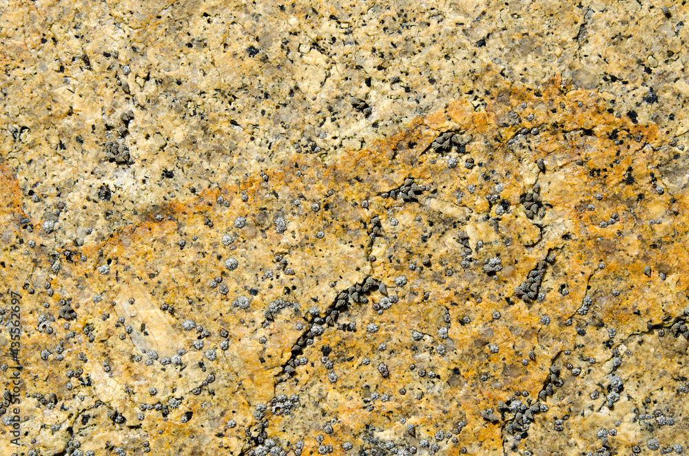 Seamless rock texture background closeup
Seamless rock texture background closeup