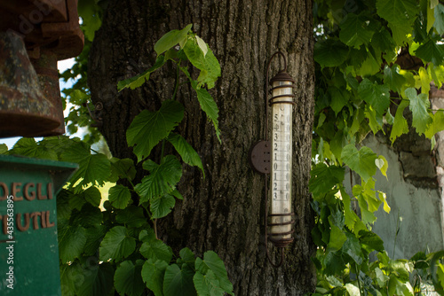 Outdoor agricultural thermometer photo