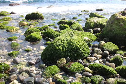 green moss on the rocks