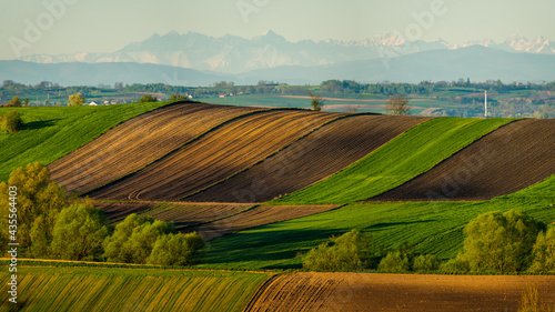 spring panorama of fields on farmland cultivated extensively and ecologically