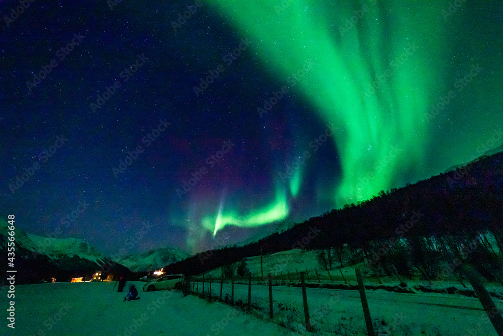 Fototapeta premium wundervolle Nordlichter in Troms in den Lyngenalps. begeisterndes Lichtspiel am nächtlichen Himmel, jubelnde Menschen. Aurora Borealis bei Tromsö