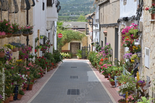 An alley with many flowers in the village Lliber-Spain. © Frank Middendorf