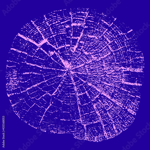 Tree growth rings. Natural cut wood. Vector illustration.