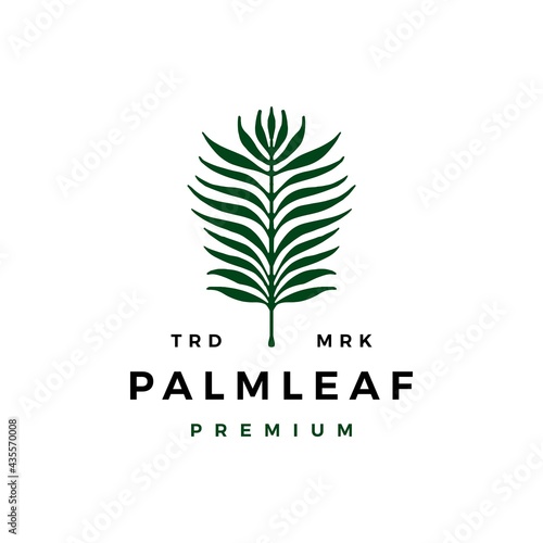 palm leaf logo vector icon illustration