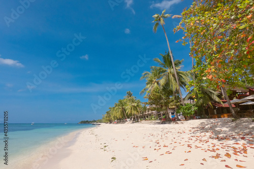 Amazing paradise Alona beach with palms in Bohol Panglao island, Philippines photo