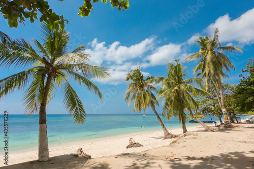 Amazing paradise Alona beach with palms in Bohol Panglao island  Philippines