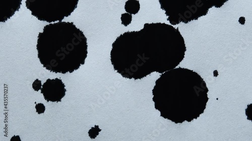 Black water color drops on white background