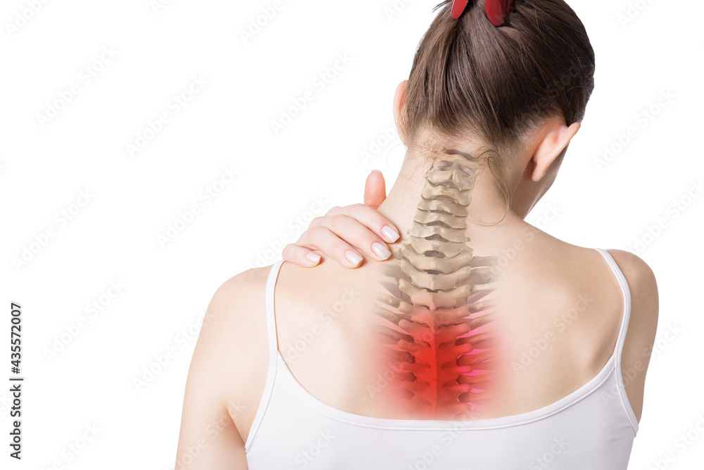 Female neck, back and trapezius muscles with upper spine inside