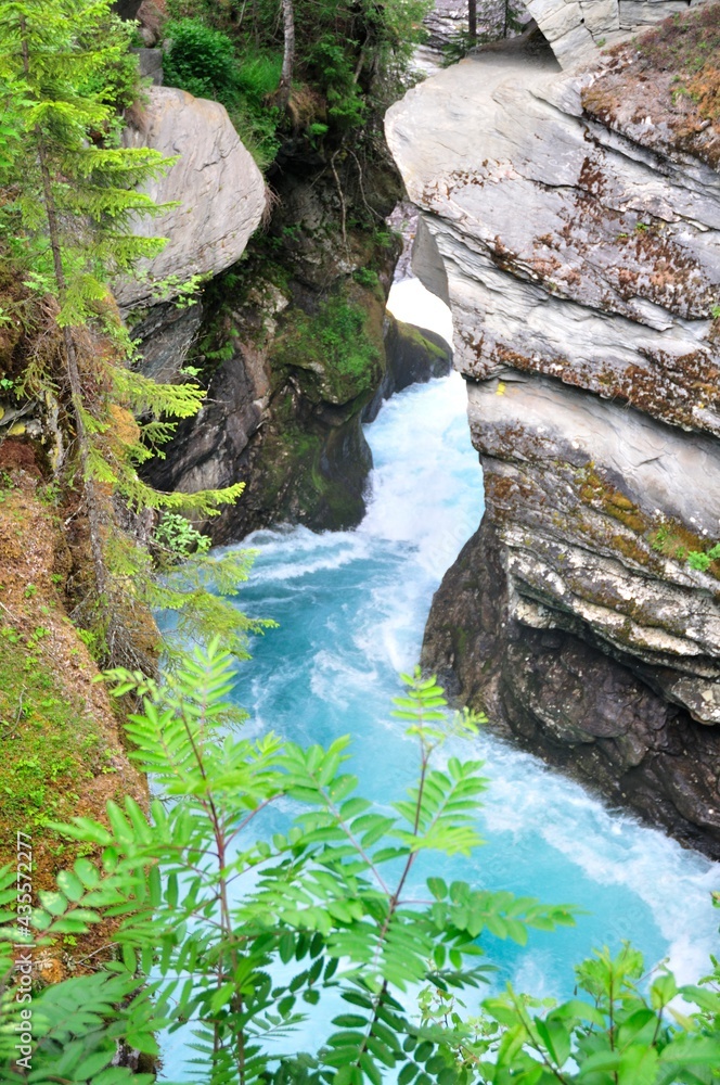 Torrent Torrent