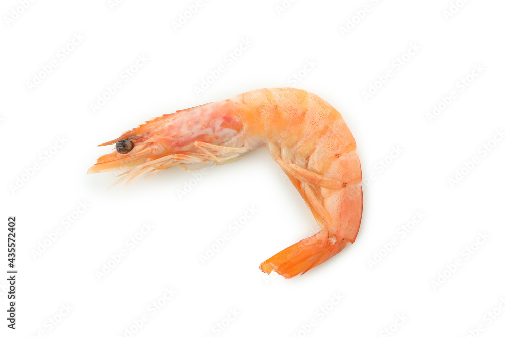 Tasty cooked shrimp isolated on white background Tasty cooked shrimp isolated on white background