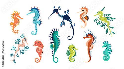 Set colorful seahorses. Pretty seahorses different silhouette on white background. For festive card, logo, children, pattern, tattoo, decorative, creative concept. Cartoon vector illustration