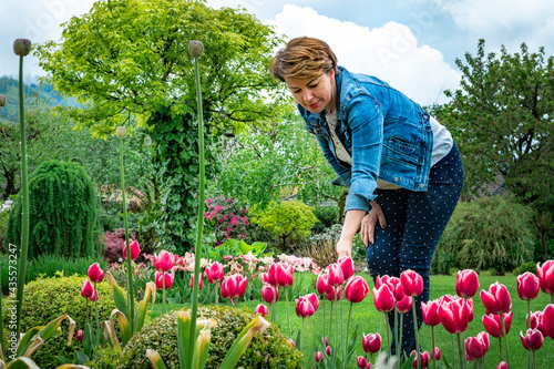 Kobieta w ogrodzie podziwia czerwone tulipany