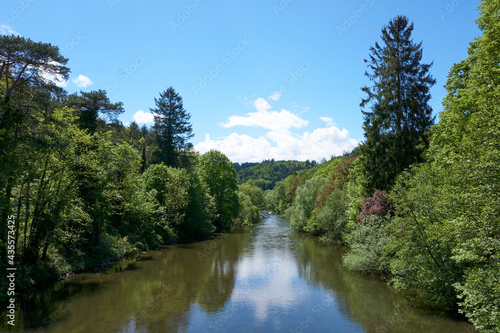 beautiful river with lots of green under blue sky