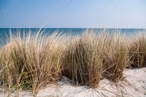 Enjoy beautiful sand and grass on North Sea