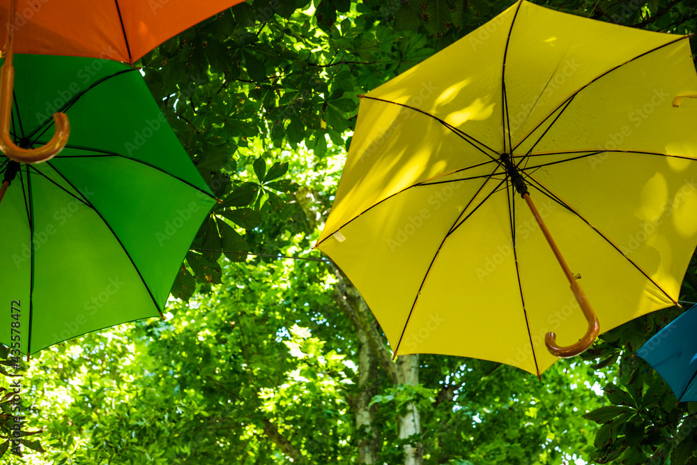 yellow and green umbrella
