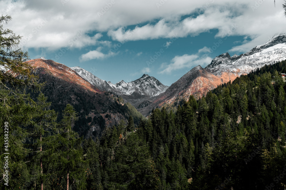Blick über Wälder auf Alpen