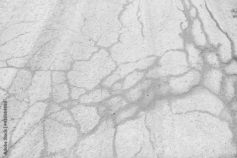 Naklejka premium crack on the ground white background / abstract white vintage background broken texture