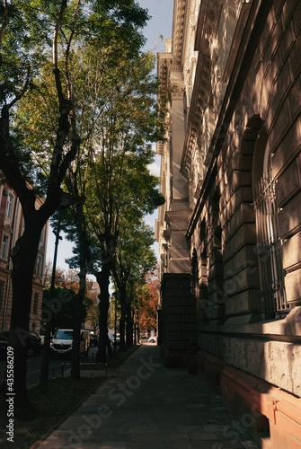 street in the city  old architecture  trees  autumn vibes  street photography  sunlight and sunshine 