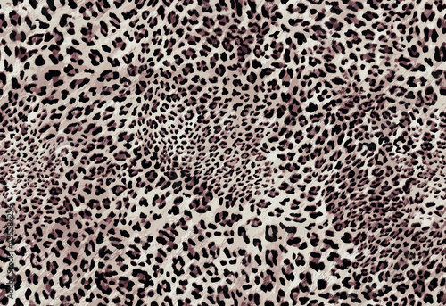unique animal skin pattern	