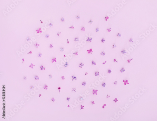 little lilac flowers on pink background banner spring summer