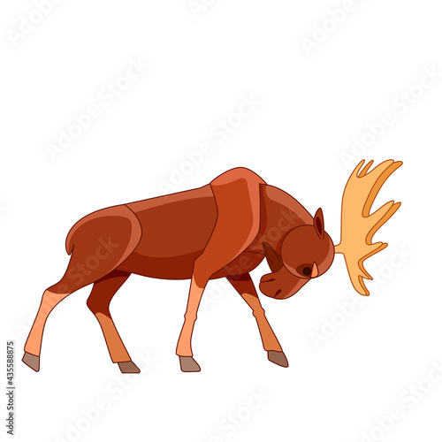 Angry Bull Moose fighting. Woodland moose in cartoon style. Scene from wild. Cartoon character vector flat illustration isolated on a white background
