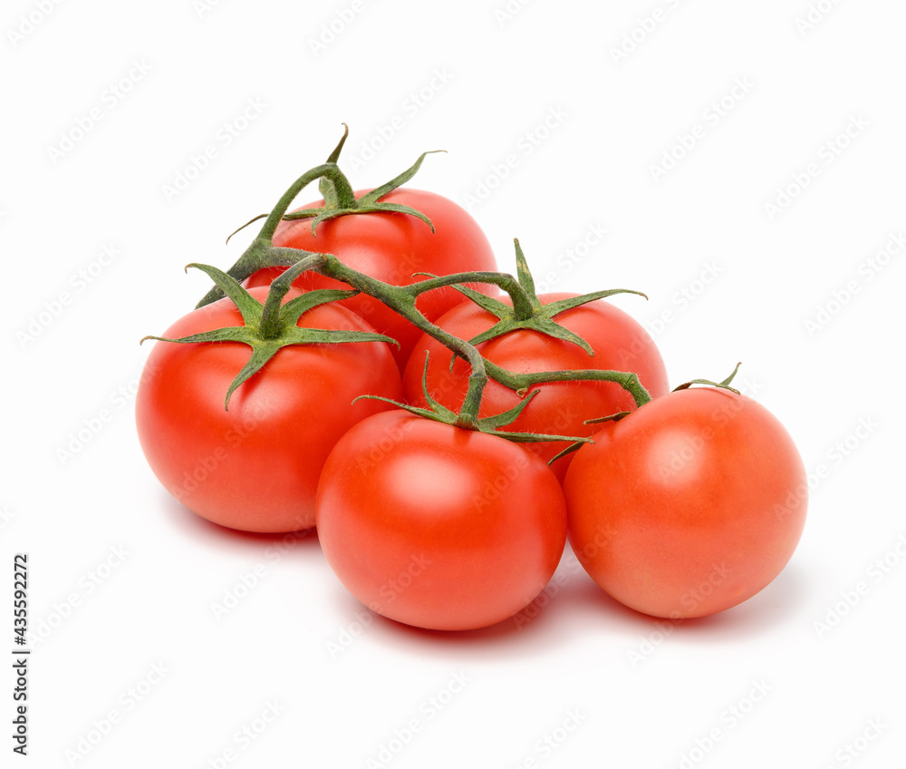 red ripe tomatoes on a green branch on a white background red ripe tomatoes on a green branch on a white background
