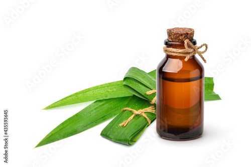 Pandan (screwpine) essential oil with fresh leaves isolated on white background.