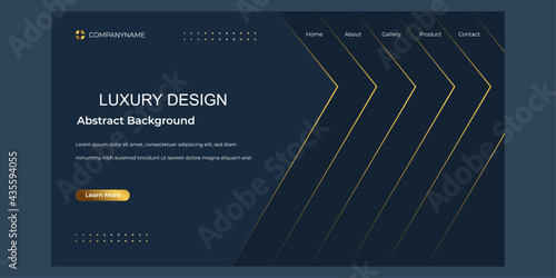 Vector abstract luxury backgrounds with geometric graphic elements for poster flyer digital board and concept design. Minimalist elegant premium design