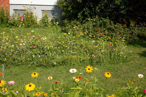 Bunte Sommerblumen in einem Vorgarten, Deutschland, Europa photo