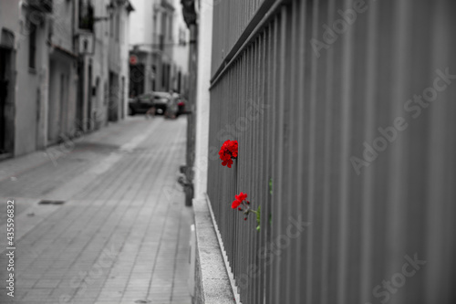 Wallpaper Mural - Metáfora - Torontodigital.ca