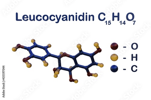 Structural chemical formula and molecular model of leucocyanidin or leucocianidol, a vasoprotector used to treat hemorrhoids. Scientific background. 3d illustration photo