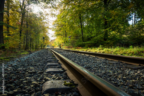 Railroad tracks in a Gribskov Forest near Copenhagen, Denmark