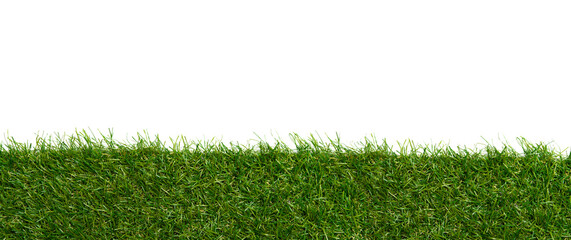 Green grass borders for decoration and covering on white background