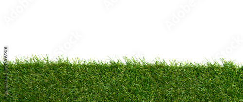 Green grass borders for decoration and covering on white background