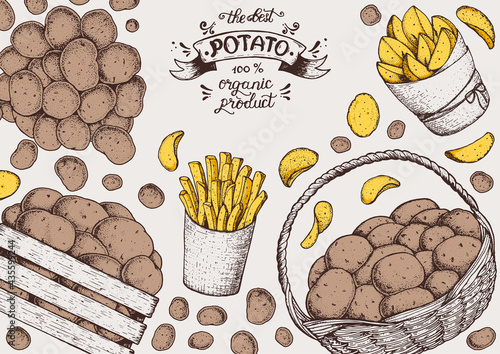 Potato vector illustration. Basket and box of potatoes. French fries, rustic potatoes and chips hand drawn. Engraved style frame.