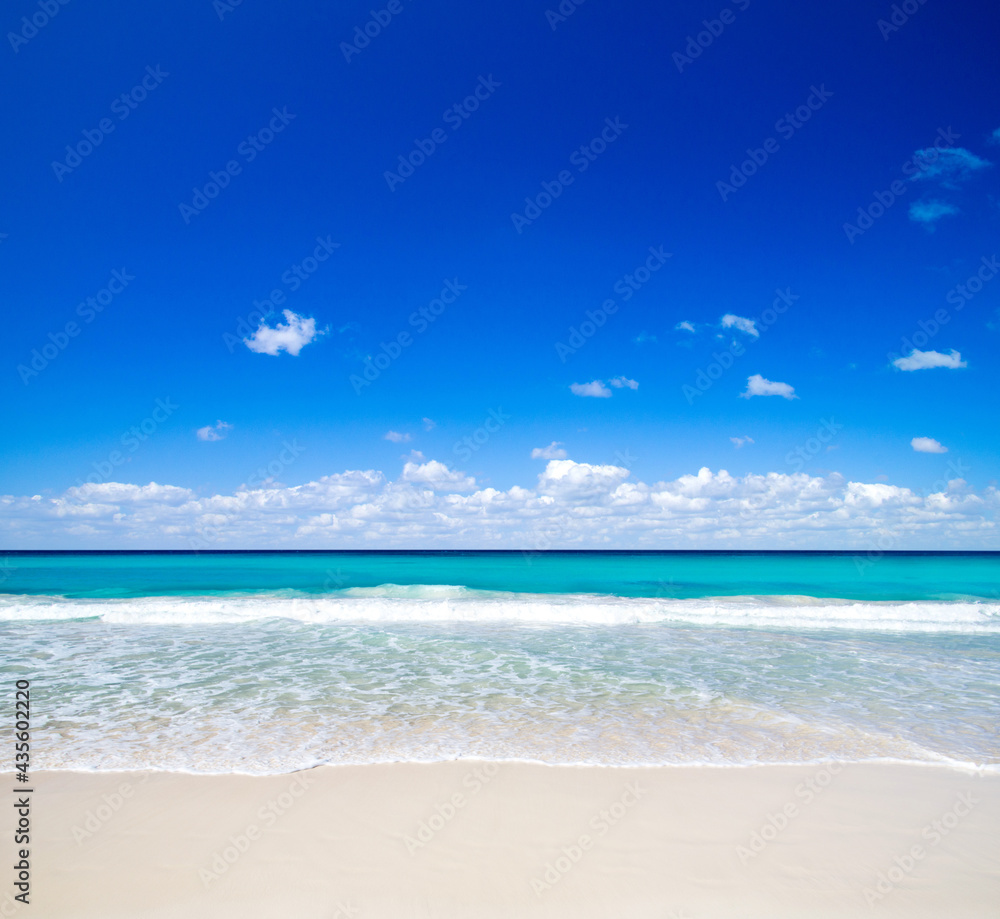 Obraz premium beach and tropical sea. nature background